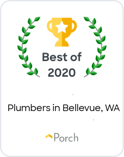 Best Plumbers in Bellevue, WA