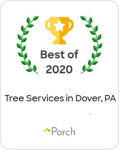 Best Tree Services in Dover, PA