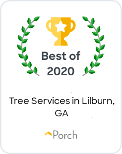 Best Tree Services in Lilburn, GA