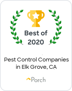 Best Pest Control Companies in Elk Grove, CA