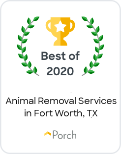 Best Animal Removal Services in Fort Worth, TX